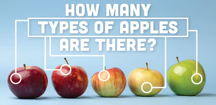 درمورد سیب هنوز خیلی نمی دانیم، انواع سیب و خواص سیب